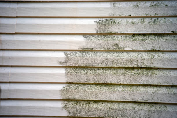 Best Estate Cleanout  in Web, AL