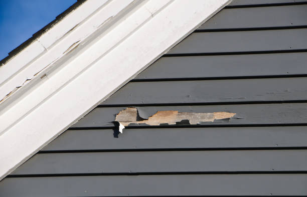 Best Attic Cleanout  in Web, AL